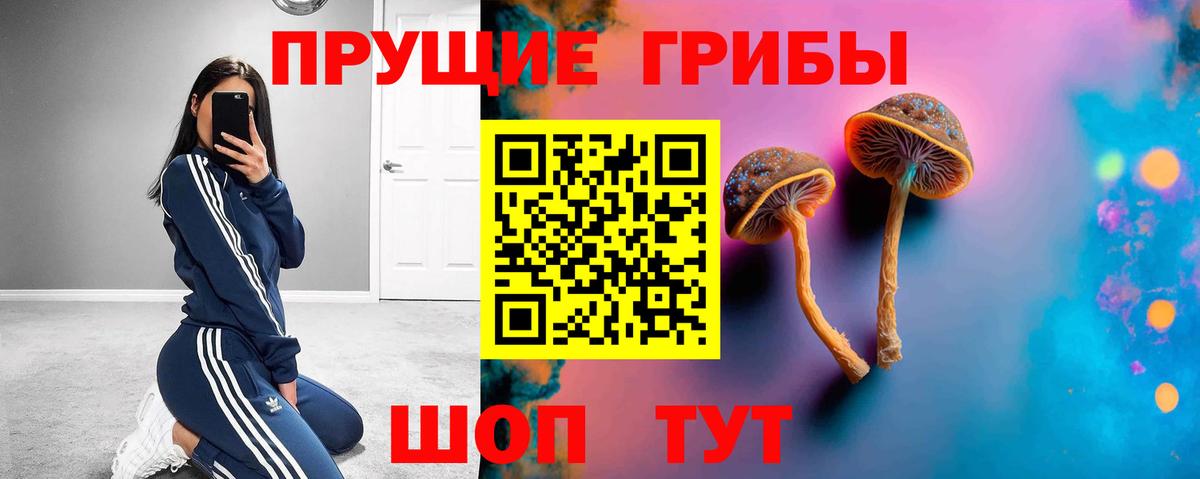 Галлюциногенные грибы Cubensis Спасск-Дальний